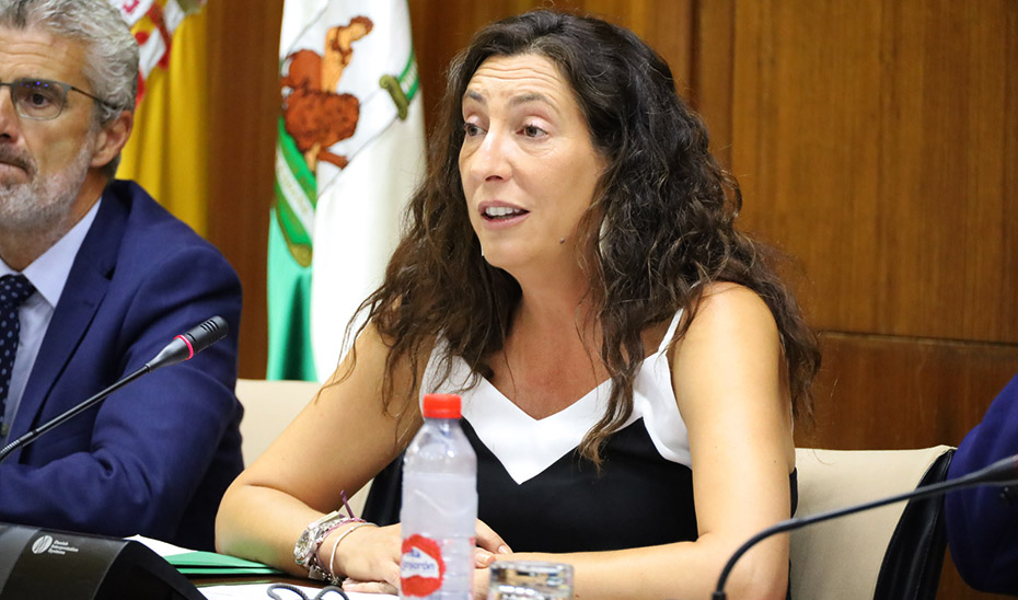 La consejera de Inclusión Social, Loles López, durante la comisión parlamentaria.