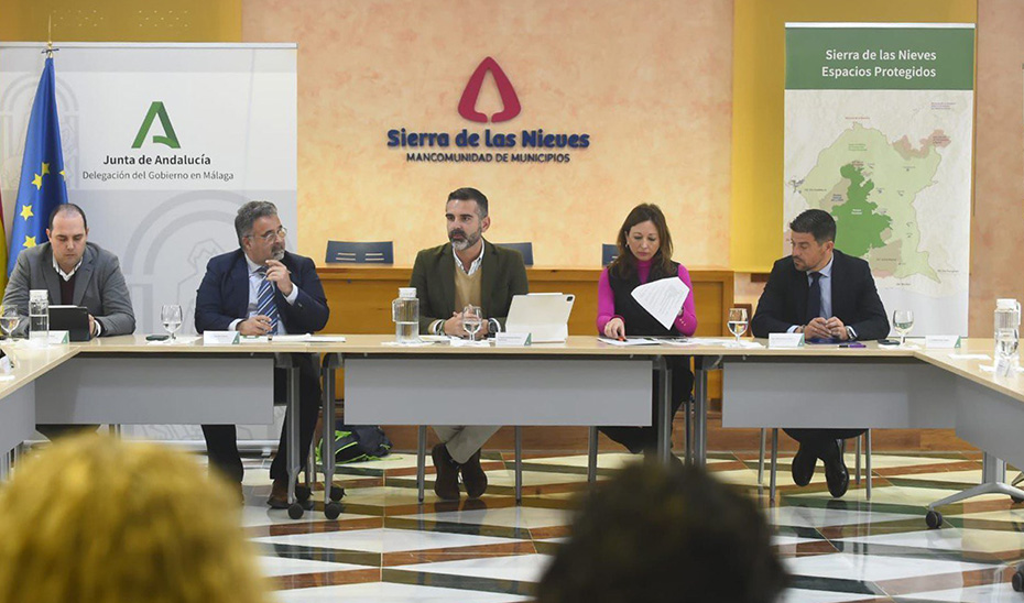 Reunión entre el consejero de Sostenibilidad, Ramón Fernández-Pacheco, y los alcaldes de la Sierra de las Nieves.