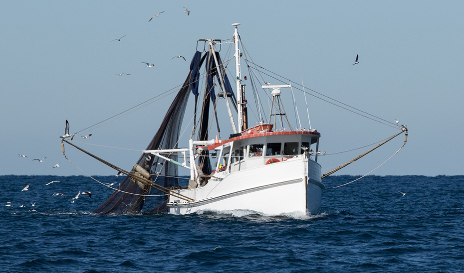 Imagen del artículo La Junta denuncia que el reparto de la cuota adicional de sardina castiga a la flota del Golfo de Cádiz