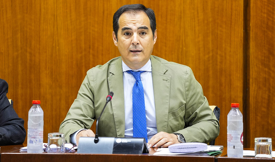 Imagen del artículo Andalucía contará con un Plan Estratégico de Justicia en 2025