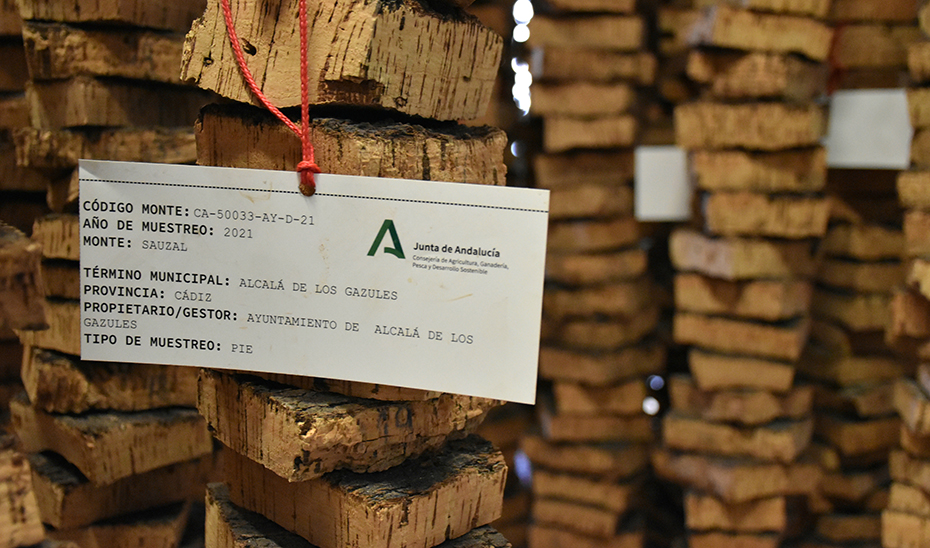 Muestra de corcho procedente de Alcalá de los Gazules en la Suberoteca.
