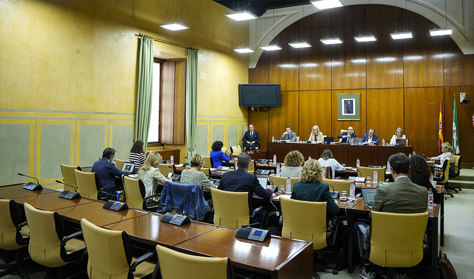 La consejera de Salud y Consumo, Rocío Hernández, durante su intervención en la comisión parlamentaria.