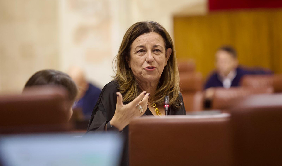 La consejera de Desarrollo Educativo, María del Carmen Castillo, en el Pleno del Parlamento.