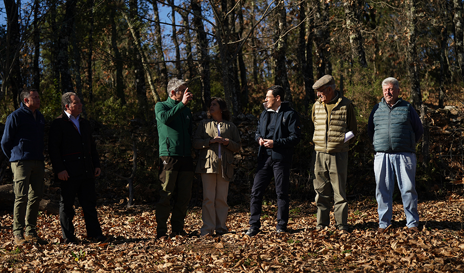 El presidente de la Junta, durante su visita al Parque Natural Sierra de Aracena y Picos de Aroche.