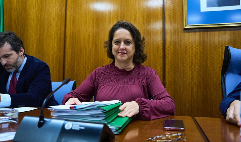 La consejera de Salud, Catalina García, durante su intervención en la Comisión de Salud del Parlamento.