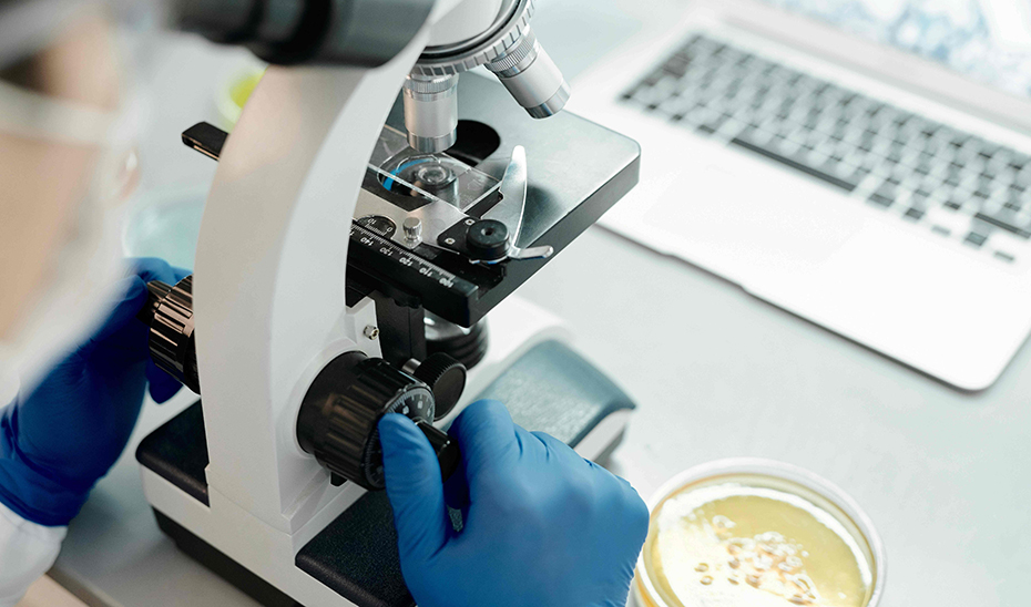 Análisis con un microscopio de cepas bacterianas.