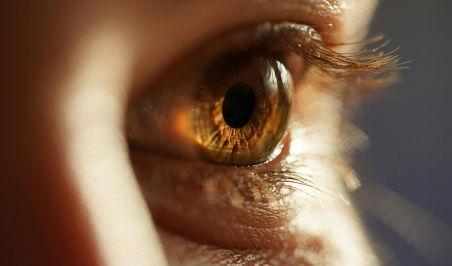 Imagen del artículo Investigadores andaluces identifican fármacos con potencial terapéutico para la retinosis pigmentaria