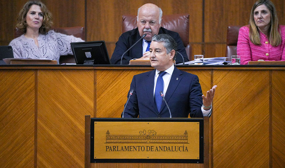 El consejero de la Presidencia, Interior, Diálogo Social y Simplificación Administrativa, Antonio Sanz, durante su comparecencia en el Pleno del Parlamento andaluz.