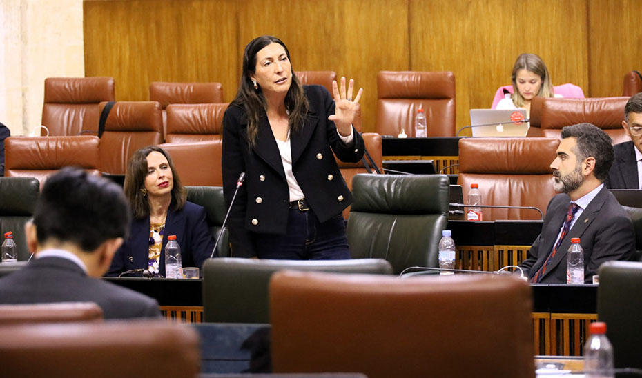 La consejera Loles López durante su intervención en el Parlamento.