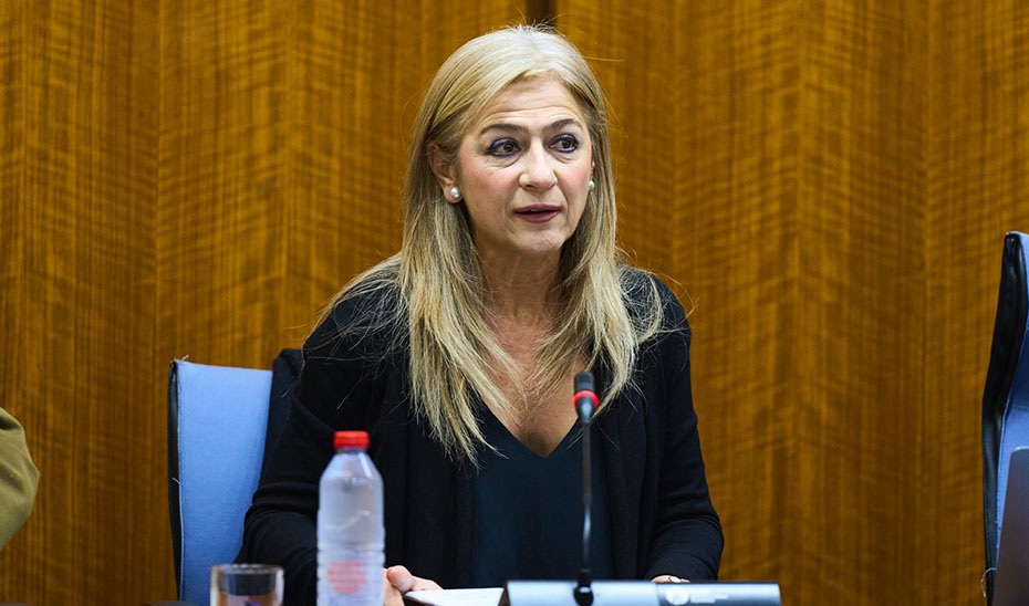 Patricia del Pozo, durante su comparecencia en la comisión parlamentaria.