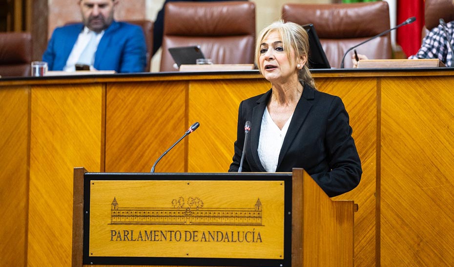 
			      La consejera de Desarrollo Educativo, Patricia del Pozo, durante su comparecencia informativa.			    
			  