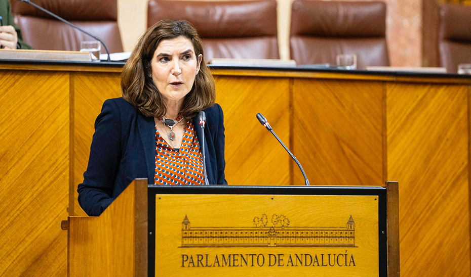 
			      La consejera de Empleo, Rocío Blanco, durante su comparecencia en el Pleno del Parlamento.			    
			  