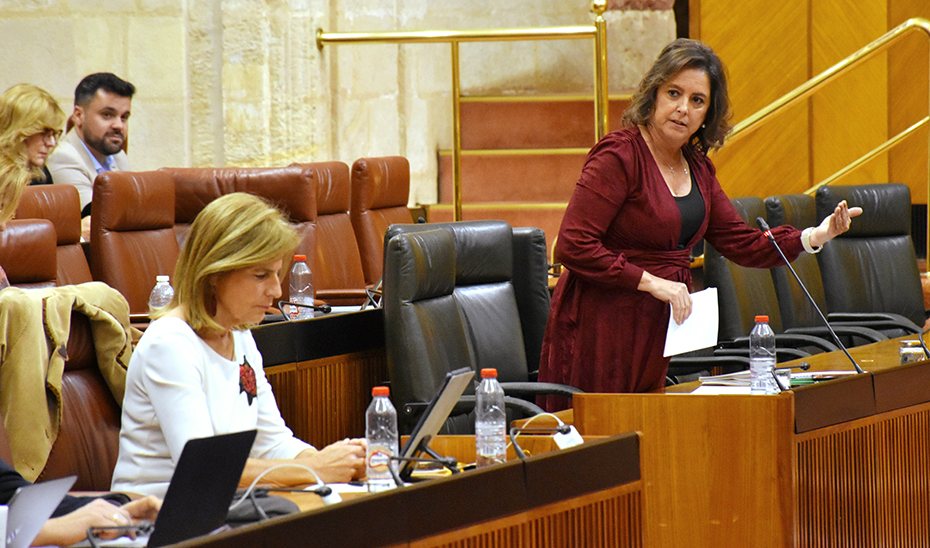 
			      La consejera de Salud, Catalina García, durante su intervención en el Pleno del Parlamento andaluz.			    
			  