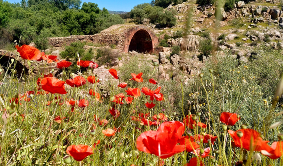 Imagen del artículo Sostenibilidad edita una guía para invitar a los ciudadanos a visitar los Monumentos Naturales de Andalucía