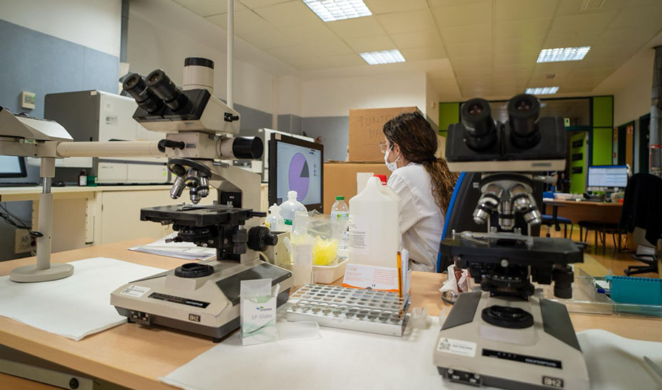 Imagen del artículo Andalucía aumenta un 10% en 2023 el número de proyectos de investigación biomédica evaluados