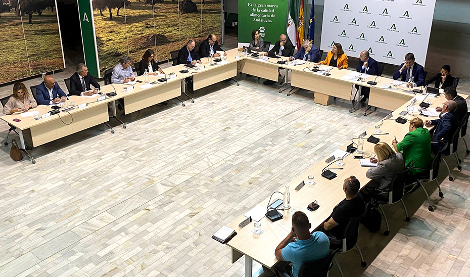 La consejera, Carmen Crespo, durante la celebración de la mesa de interlocución.