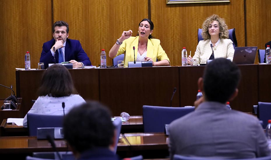 
			      Loles López durante su intervención en la comisión parlamentaria.			    
			  