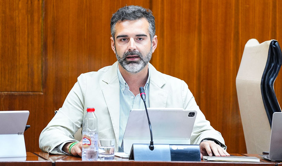 Ramón Fernández-Pacheco durante la Comisión de Sostenibilidad en el Parlamento de Andalucía.