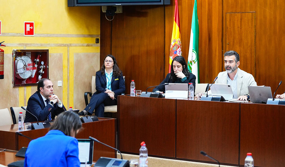 
			      A la derecha, el consejero Ramón Fernández-Pacheco durante la Comisión de Sostenibilidad en el Parlamento de Andalucía.			    
			  