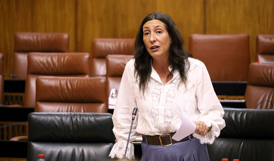 
			      Loles López interviene desde su escaño en el Parlamento andaluz.			    
			  