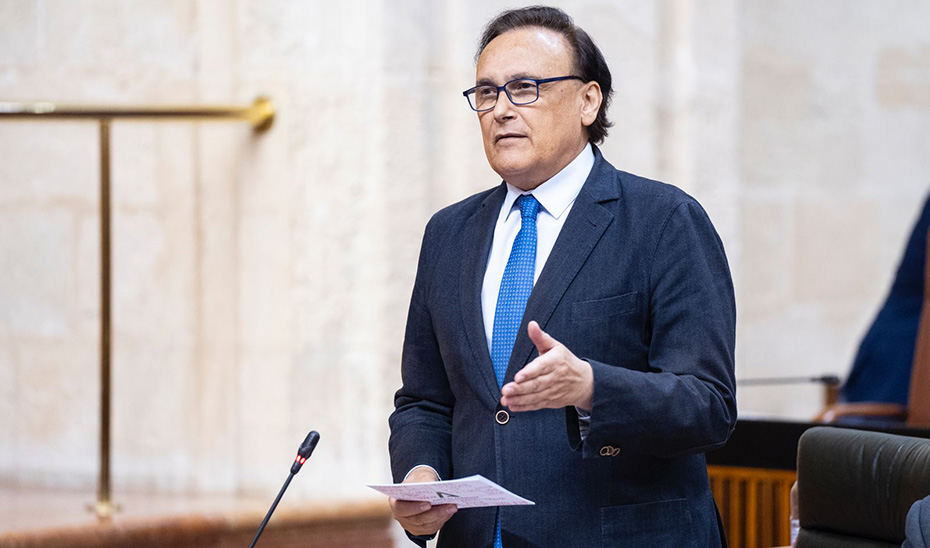 
			      El consejero de Universidad, José Carlos Gómez Villamandos, durante su intervención en el pleno.			    
			  