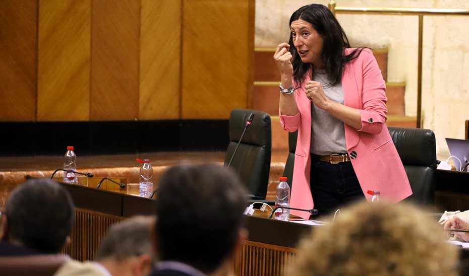 
			      La consejera de Inclusión Social, Loles López, comparecen ante el pleno del Parlamento autonómico.			    
			  