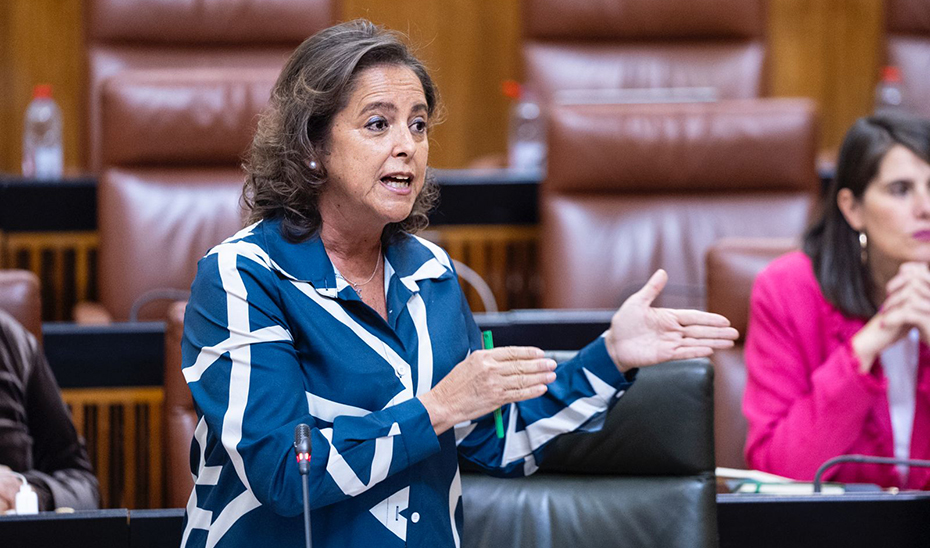 
			      La consejera de Salud, Catalina García, en un momento de su intervención ante el Pleno del Parlamento.			    
			  