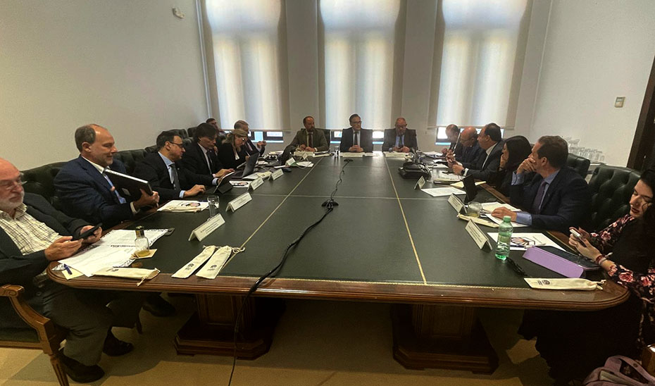 
			      Reunión del Consejo Andaluz de Universidades, presidido por José Carlos Gómez Villamandos.			    
			  