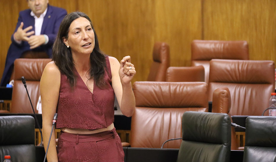 
			      La consejera de Inclusión Social, Loles López, durante su intervención en el Pleno del Parlamento.			    
			  