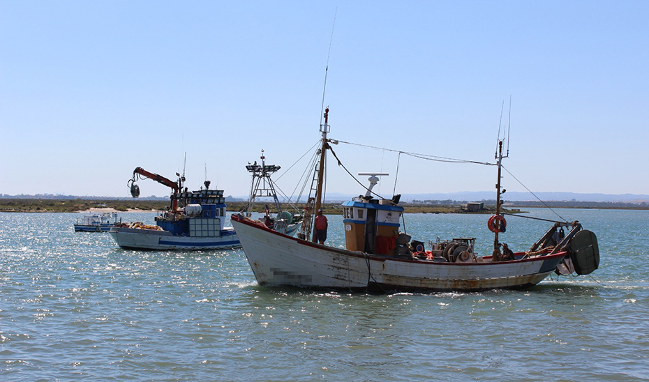 Imagen del artículo La Junta actualiza el baremo de las ayudas por la paralización temporal de la actividad pesquera