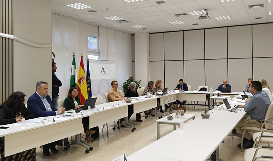 
			      Un momento de la reunión del comité director del Plan Estratégico de Salud Mental y Adicciones de Andalucía.			    
			  