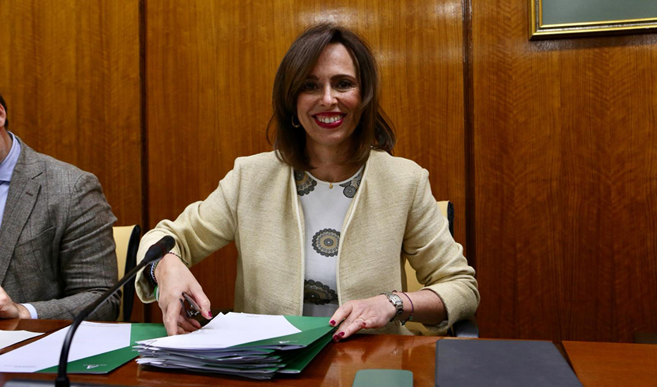 
			      Rocío Díaz, durante su comparecencia en la comisión del Parlamento.			    
			  