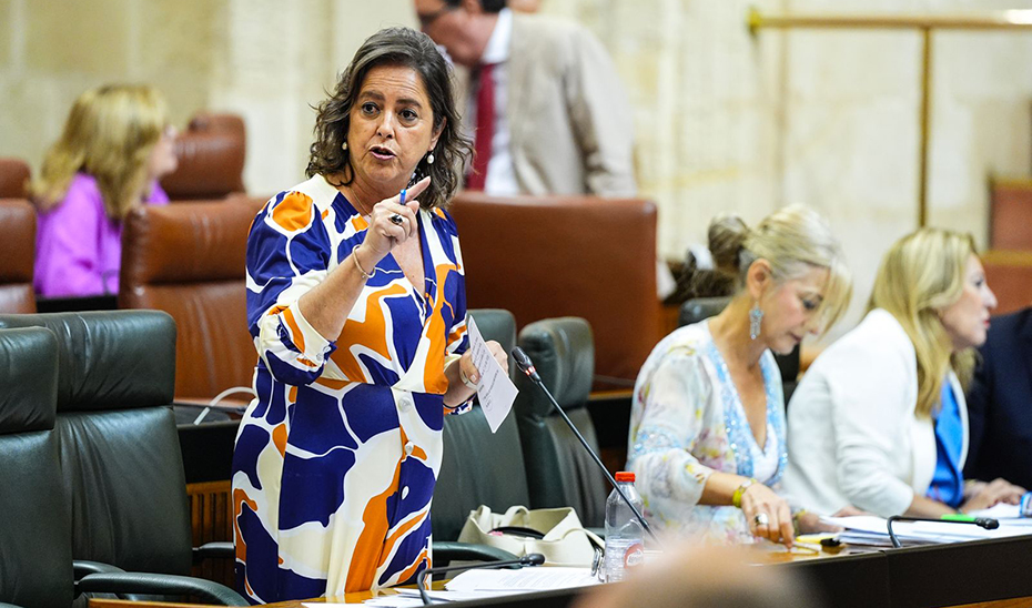 Catalina García, consejera de Salud y Consumo, responde a las preguntas de los grupos parlamentarios durante la sesión de control al Gobierno.
