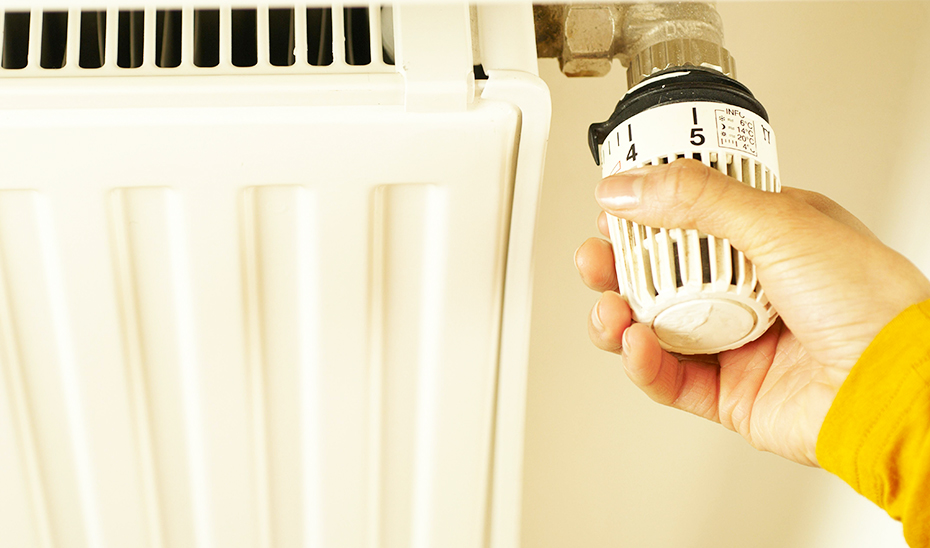 
			      Una usuaria ajusta el termostato de su calefactor.			    
			  