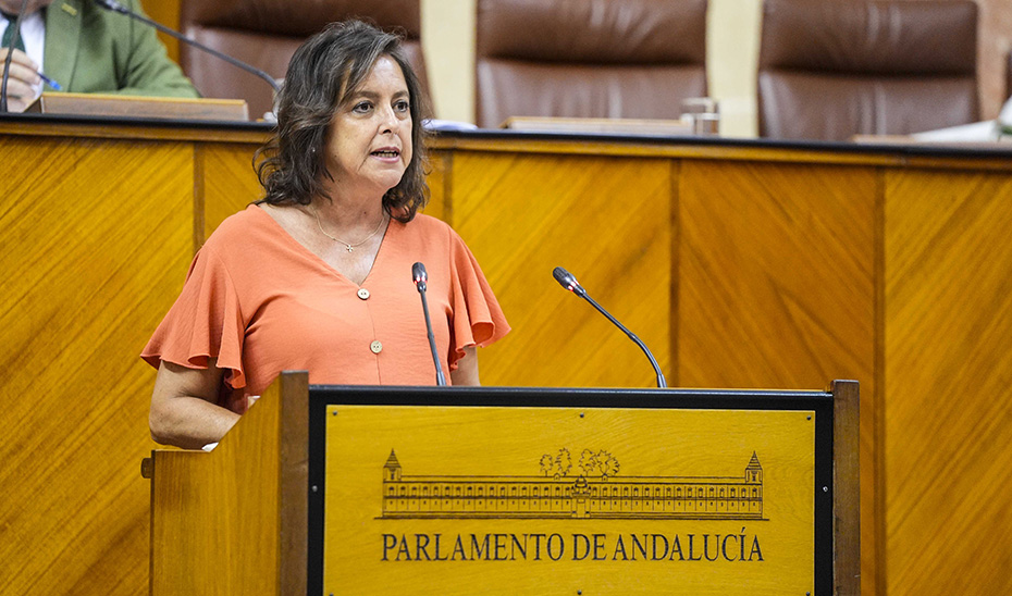 Imagen del artículo El SAS operará en verano a 76.500 andaluces y realizará casi tres millones de consultas externas