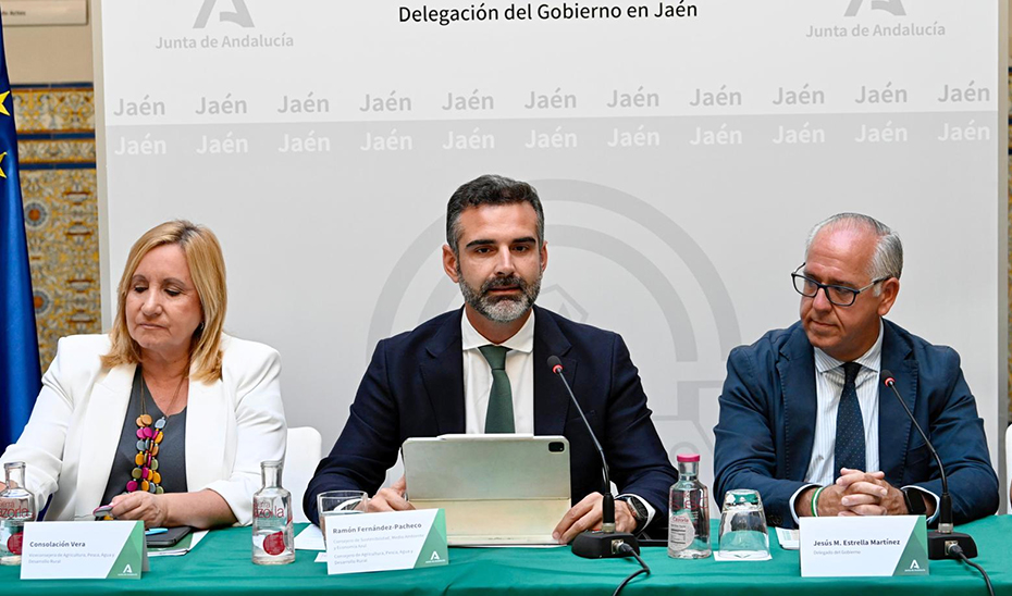Ramón Fernández-Pacheco, durante el encuentro en el que ha anunciado la ampliación de las subvenciones.