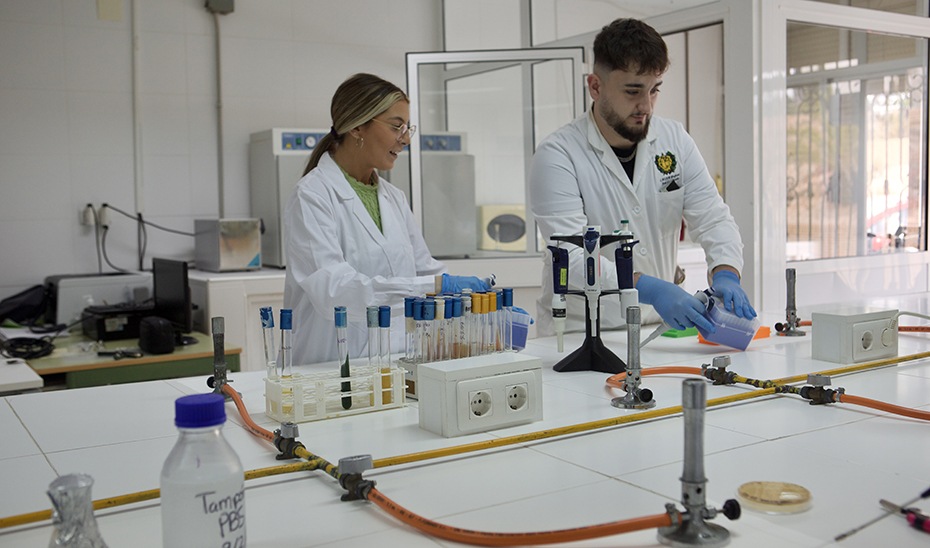 Educación convoca los proyectos específicos de FP para mejorar la empleabilidad del alumnado 