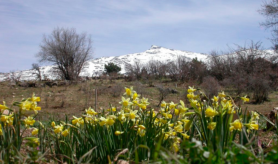 Vista del Jardín Botánico Hoya de Pedraza, en el acceso de Granada a la estación de esquí de Pradollano.