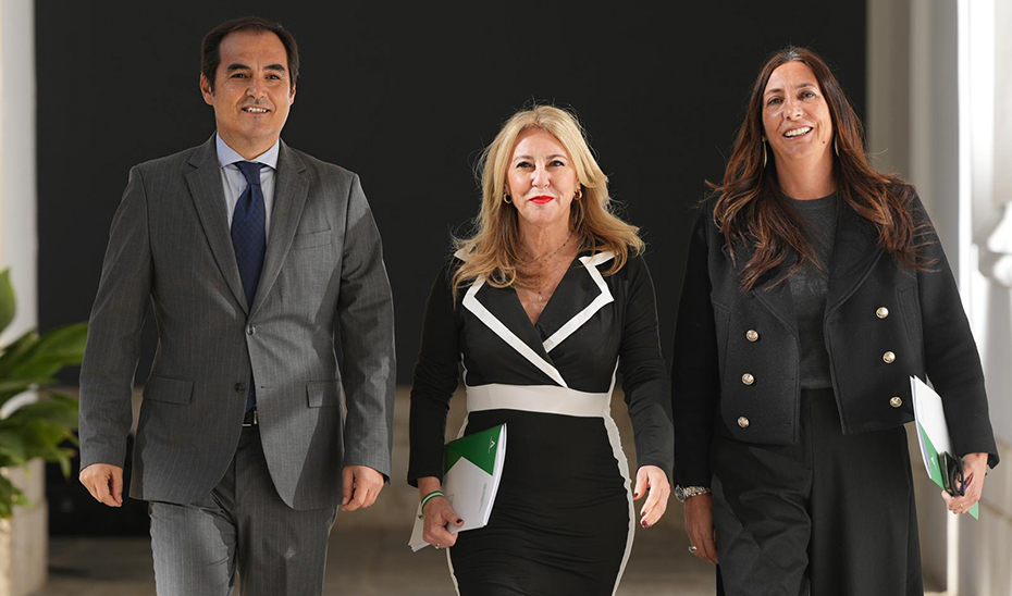 Reproducir el vídeo