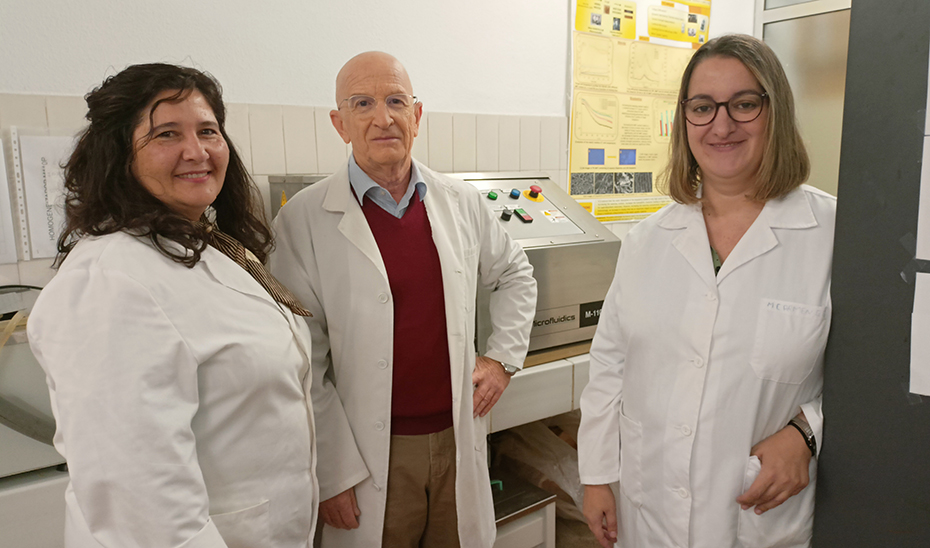 Grupo de investigación de la Universidad de Sevilla 'Reología Aplicada. Tecnología de Coloides'.