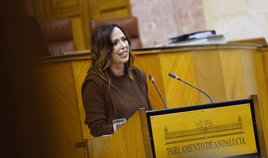 
			      Rocío Díaz, desde la tribuna de oradores del salón de plenos del Parlamento, durante su intervención en el debate final de la Ley de Vivienda de ...
			  