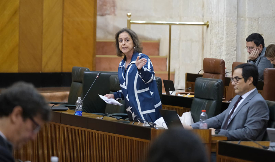 
			      La consejera de Sostenibilidad, Catalina García, durante su intervención en la Cámara andaluza.			    
			  
