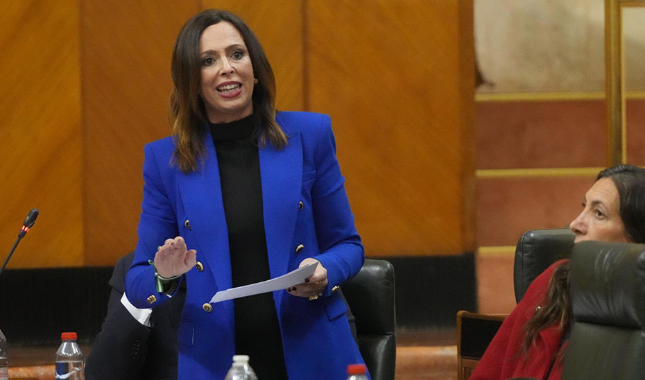 
			      La consejera de Fomento, Articulación del Territorio y Vivienda, Rocío Díaz.			    
			  