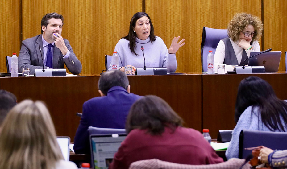 Loles López interviene en la comisión parlamentaria dedicada al ámbito de la discapacidad.