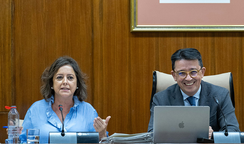 La consejera Catalina García, interviene en la comisión parlamentaria de Sostenibilidad y Medio Ambiente.