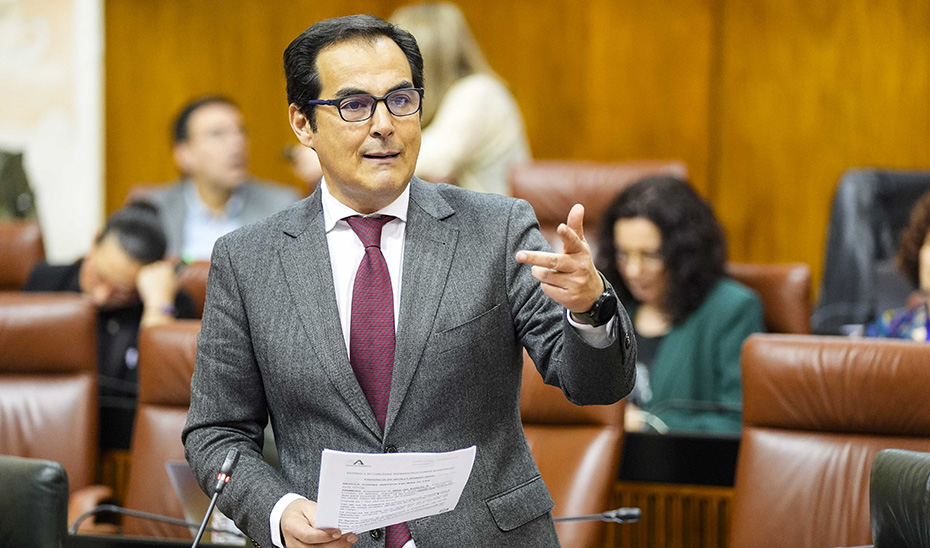 
			      José Antonio Nieto interviene durante la sesión plenaria del Parlamento andaluz.			    
			  