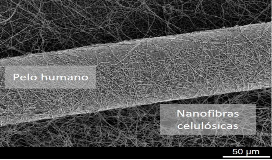 
			      Imagen al microscopio de pelo humano y nanofibras de celulosa.			    
			  