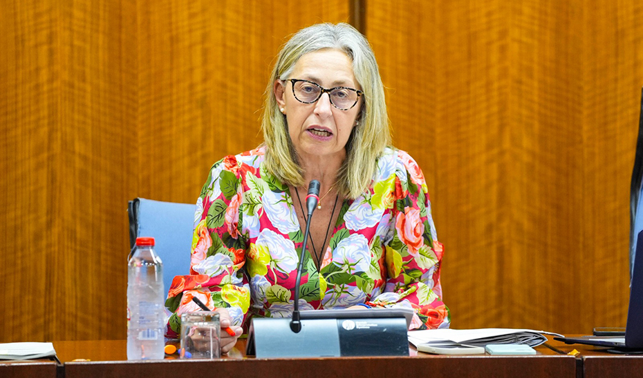 Imagen del artículo Salud ofertará en julio contratos de larga duración para los MIR que finalizan su residencia este año