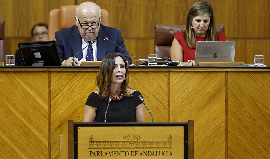 Imagen del artículo El Parlamento convalida el decreto-ley que suspende durante dos meses nuevas autorizaciones de VTC