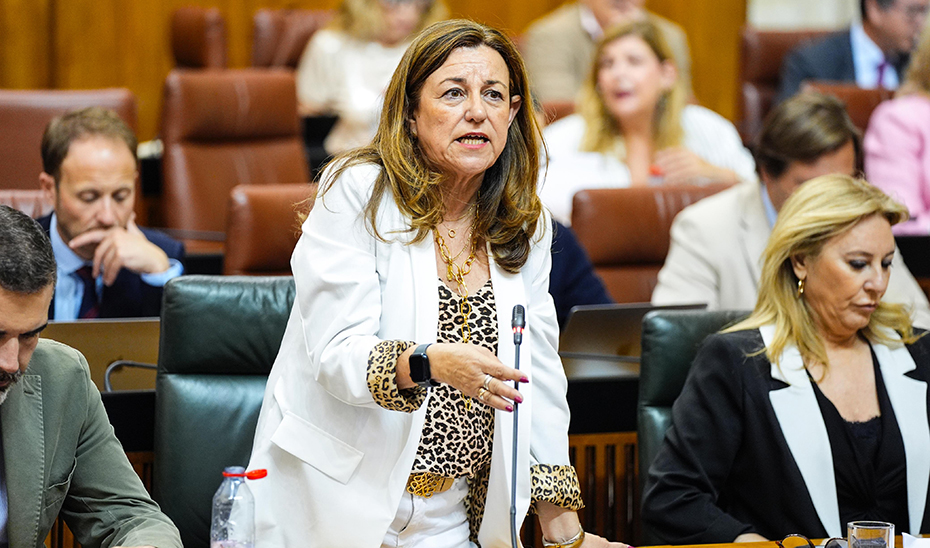 Imagen del artículo Crecen hasta 871 los centros del programa de Zonas de Transformación Social el próximo curso